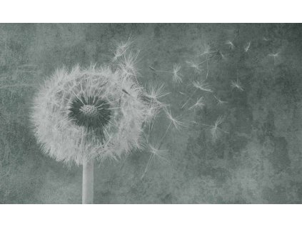 164A Wishing winds Li PRA B