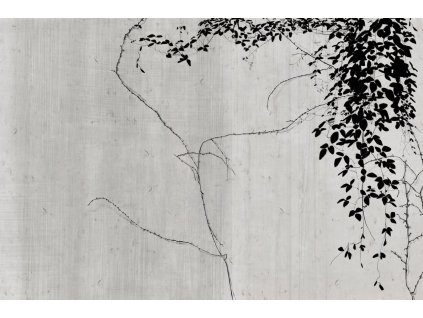 endless crossing glxiv301a