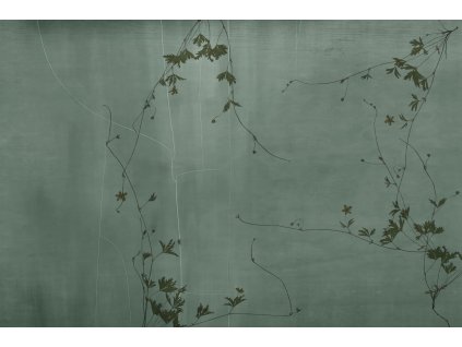 verdant veil glxv421a