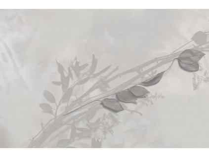 tenera è l’alba glxiv501a