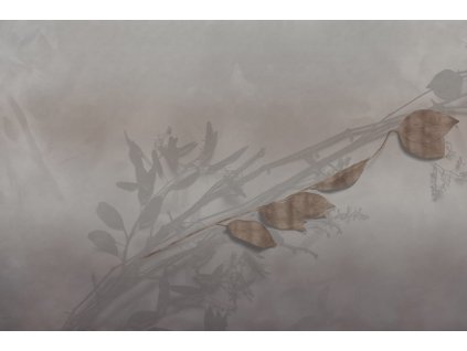 tenera è l’alba glxiv502a