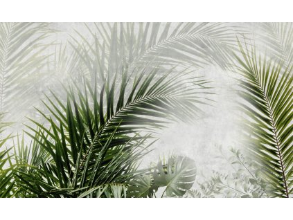 WP36 PALMY 500x300 LOW