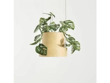 Evy Pendant x1 Zero Lighting byrastrom