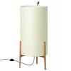 carpyen greta floor lamp