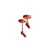 bird ceiling brick red original