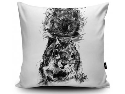 Squirrel Cushion