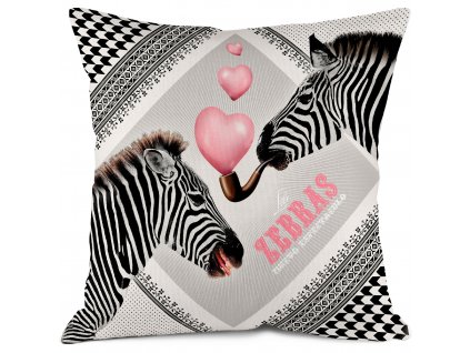 BONJOURMONCOUSSIN ZEBRAS