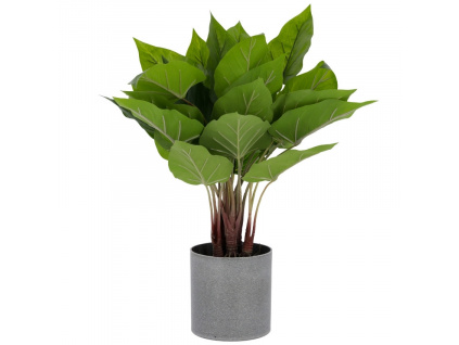 Umělá květina Kave Home Anthurium 50 cm