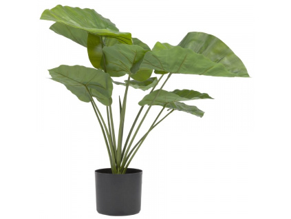 Umělá květina Kave Home Alocasia 57 cm