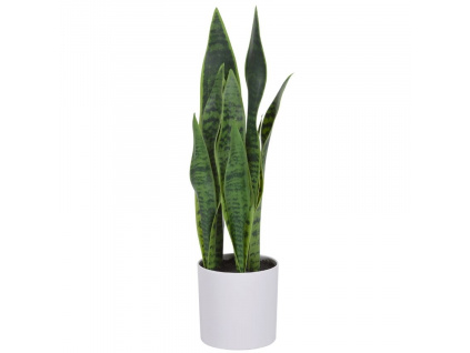 Umělá květina Kave Home Sansevieria