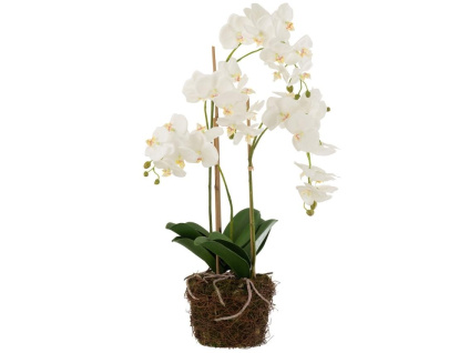 Umělá květina J-Line Maryath Orchid 75 cm