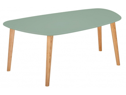 Šedo zelený lakovaný konferenční stolek RAGABA ENDOCARP 110 x 66 cm