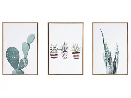 Set tří obrazů Somcasa Cactus 60 x 40 cm