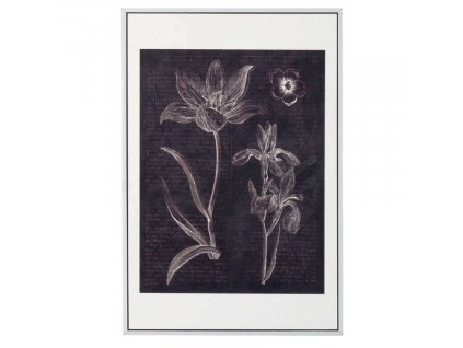 Obraz Somcasa Flowers 60 x 40 cm