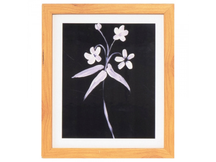 Obraz Somcasa Lily 30 x 25 cm