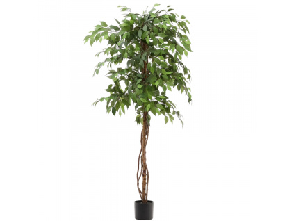 Umělá květina Kave Home Ficus 180 cm