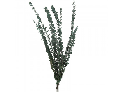Umělá květina J-line Eucalypta 70 cm
