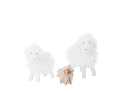 63129 285050 albert schaf jpg