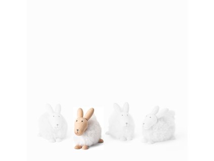 63153 1 285058 emily hase