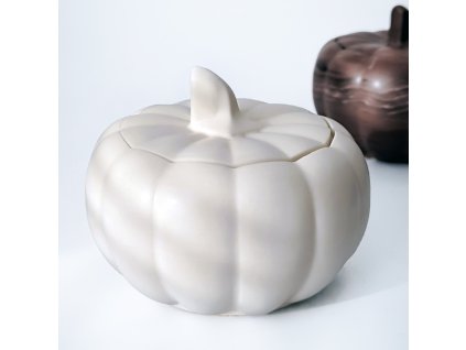 1 IMG 20241017 093808 copy