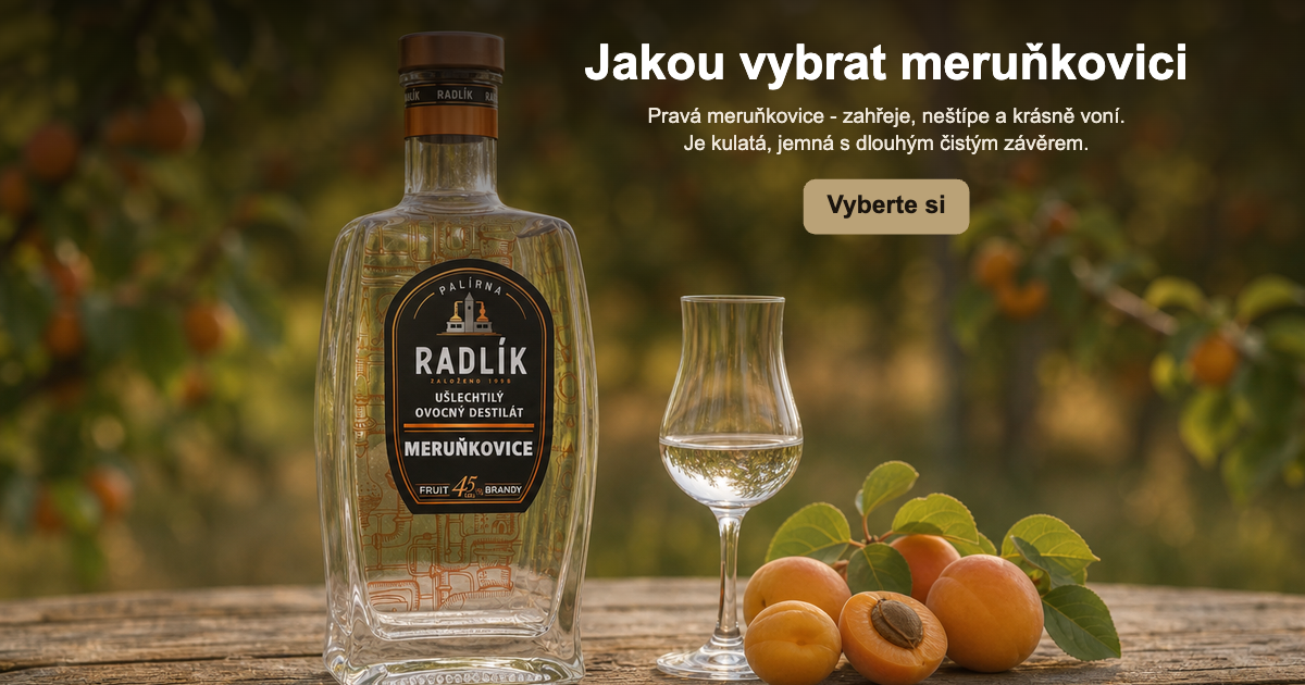 Jak má chutnat pravá meruňkovice