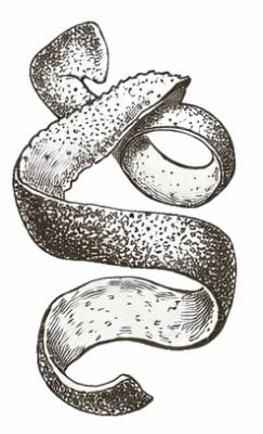 bohemica-fernetovka-pomerancova-kura