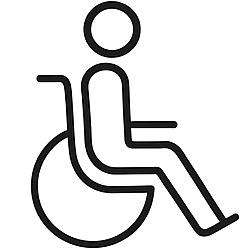 pictogram-invalida