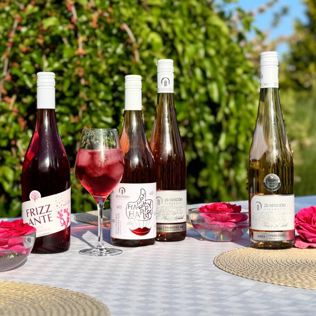 banner-1080x1080-ruzova-vina-frizzante