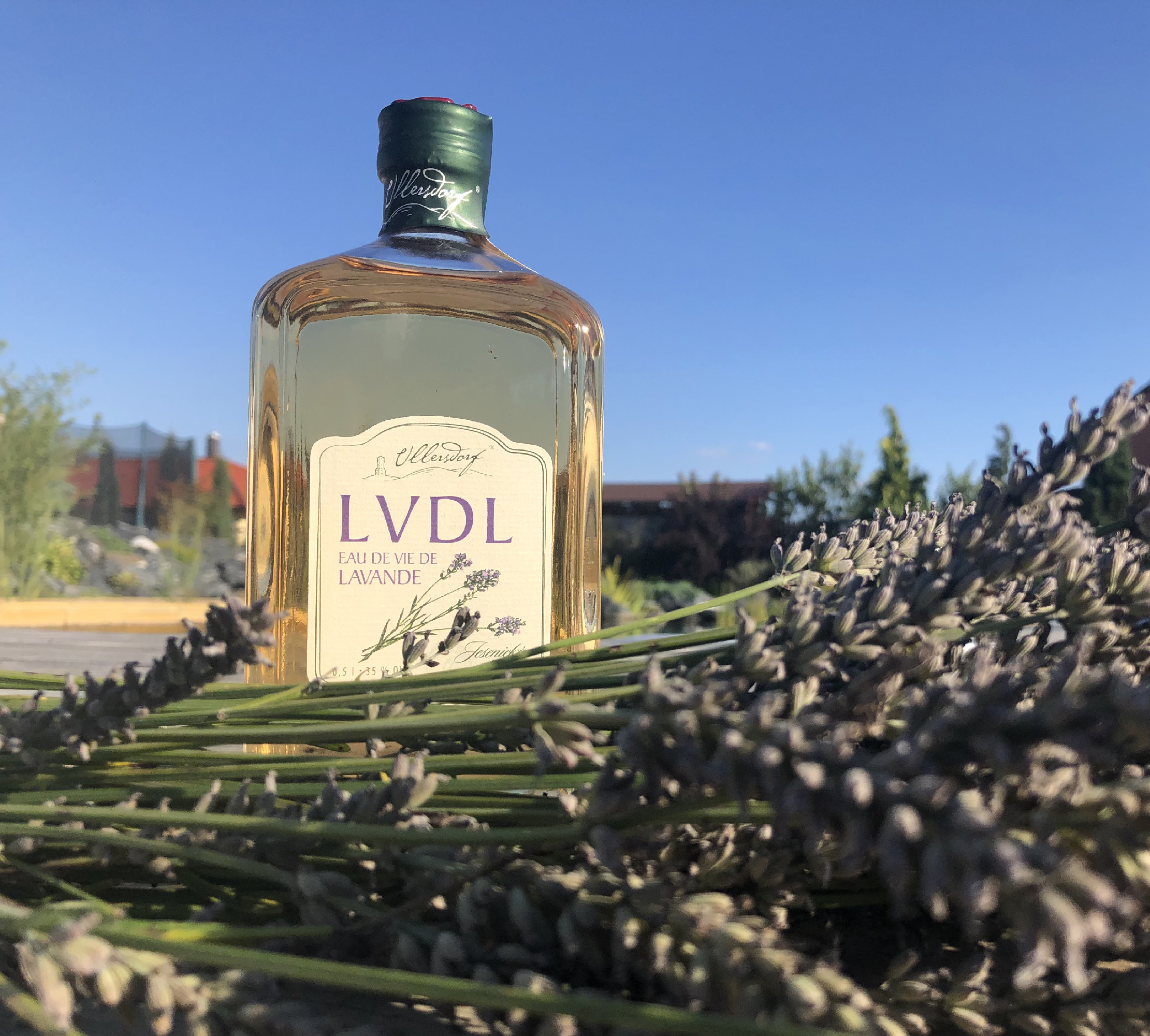 Ullersdorf LVDL (Levandulový likér) 35% 0,5L