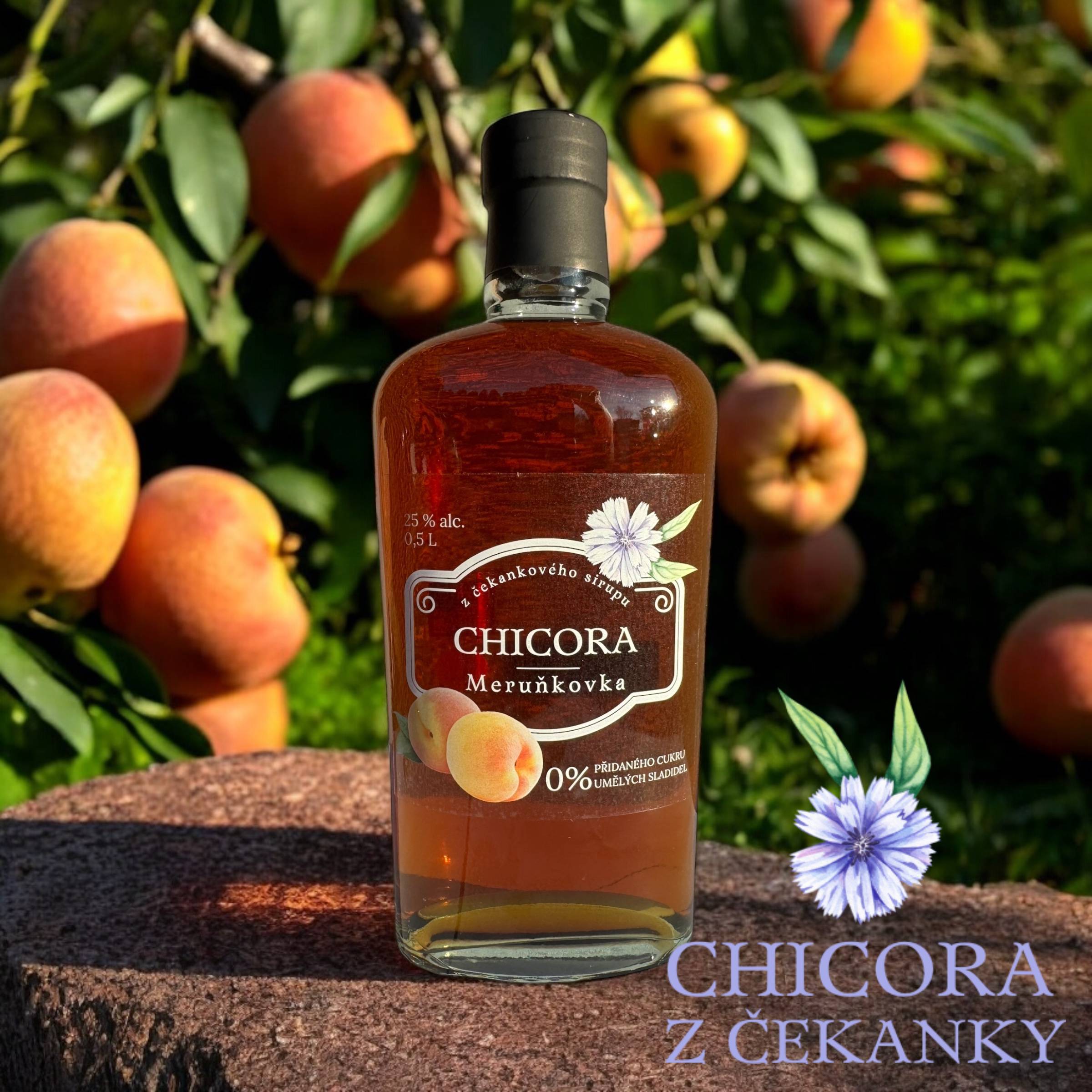 CHICORA Meruňkovka 20% 0,5L