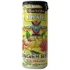 svach ginger beer nealko 250ml v01