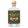 garage 22 fiesta gin 42 500ml v01