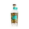 RYDZI FRUIT SPIRIT WILLIAMS bottle web