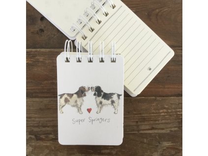 77dc070c2eb45dbbd3066b36d4849e89