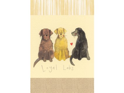 9907d5c9e46abc24bb27c3246f93abb2