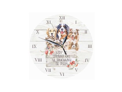 BC220059 hodiny 24cm na prochazku