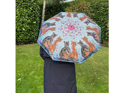 1726058442 2a06c5278fbed7dc7bc4