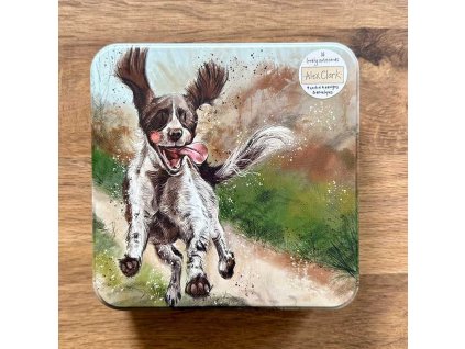 1726662308 791c951bc6f75cebdcdd