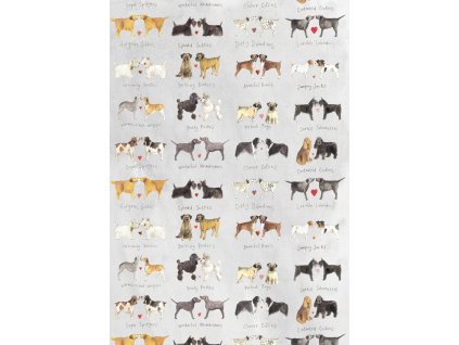 1709035317 729ea2caabf44c5424e2