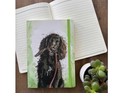 1743419997 95f5ca74592e899a8866