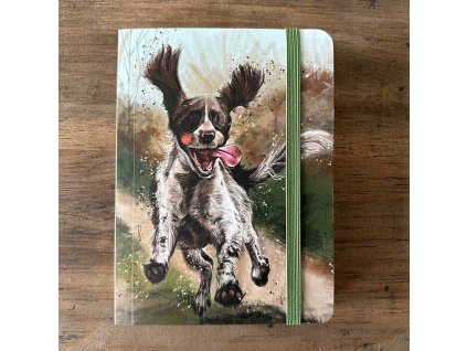 1743081545 383aa53b35880cd8e2b0