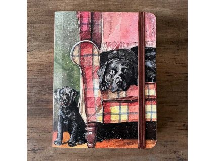 1743081352 8e6b45c8ee31e14ed808