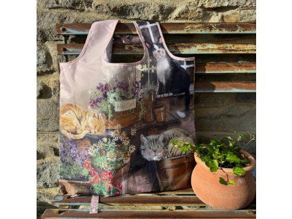 Cats snd Pots