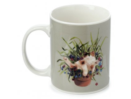 MUG404 001 1664192425