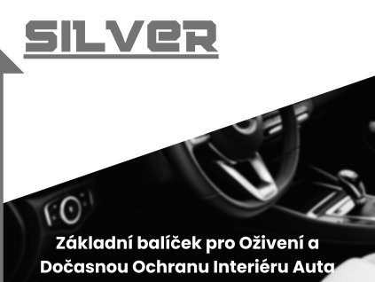 Silver interier