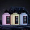 swissvax cleaner fluid professional