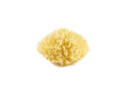 Mořská houba, Yellow