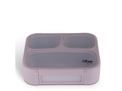 citron obedovy box petit bento purple