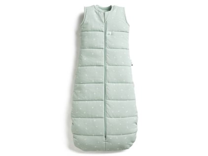 ERGOPOUCH Pytel na spaní organická bavlna Jersey Sage 3-12 m, 6-10 kg, 2,5 tog