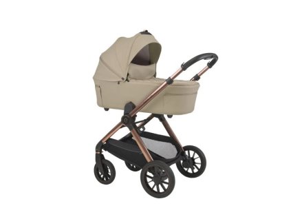 Snímek obrazovky 2026 01 08 095703